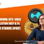 CATHIE-WOOD-BTC-GOLD-CORRELATION-0.14