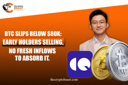 BTC-DIPS-BELOW-$80K-EARLY-HOLDERS-SELLING-NO-FRESH-INFLOWS
