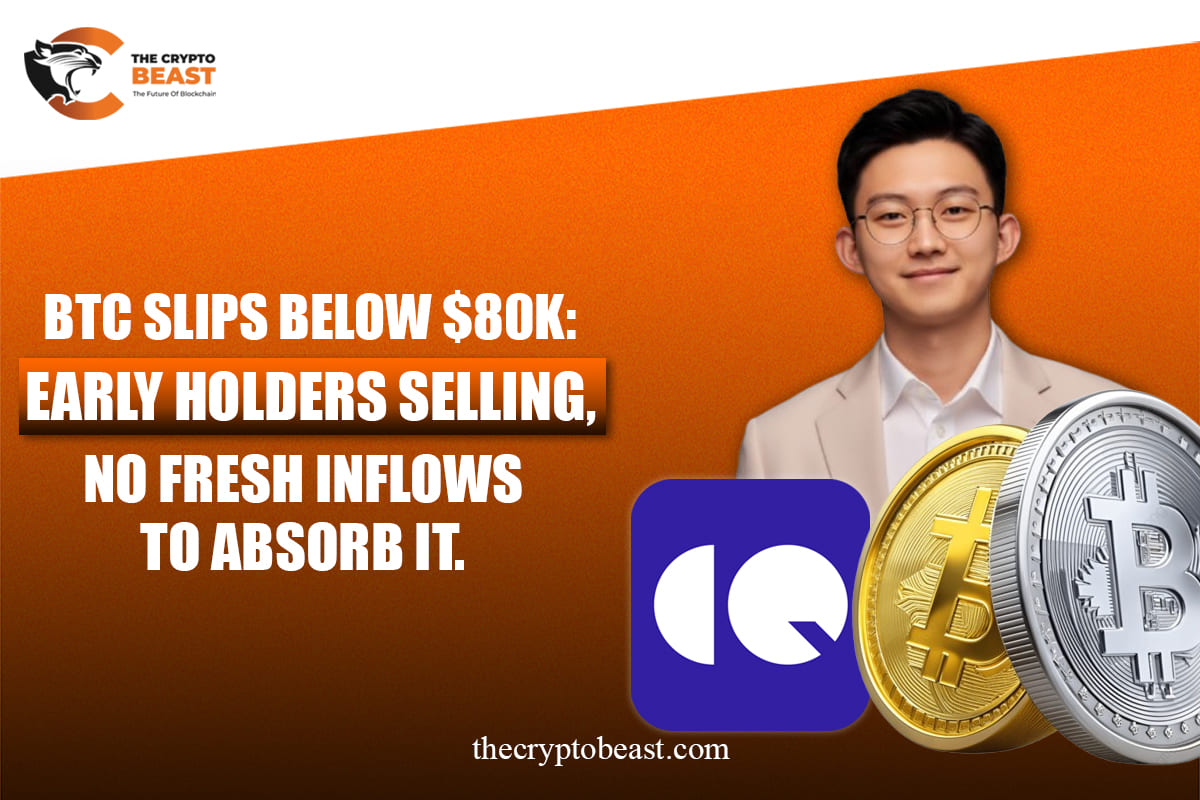 BTC-DIPS-BELOW-$80K-EARLY-HOLDERS-SELLING-NO-FRESH-INFLOWS